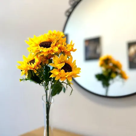 Mmrent Sunflower Homestay *