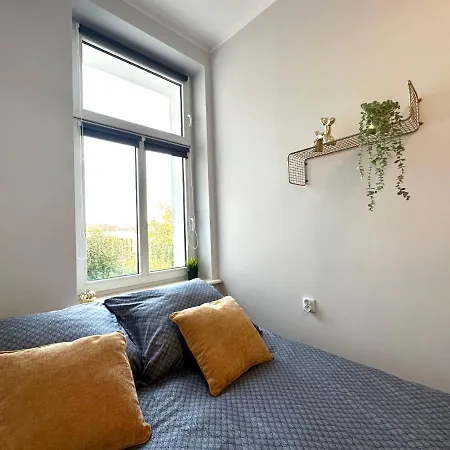 Mmrent Sunflower * Danzica