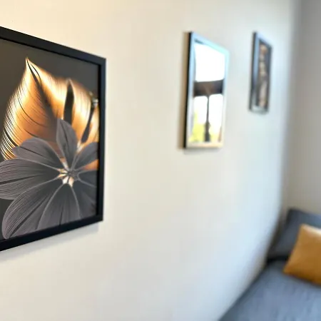 Mmrent Sunflower Gdansk