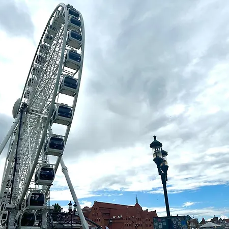 Mmrent Sunflower * グダニスク