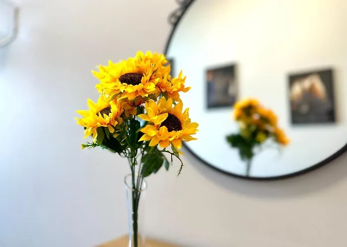 Mmrent Sunflower Habitación en casa particular *