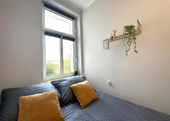 Mmrent Sunflower * Gdansk