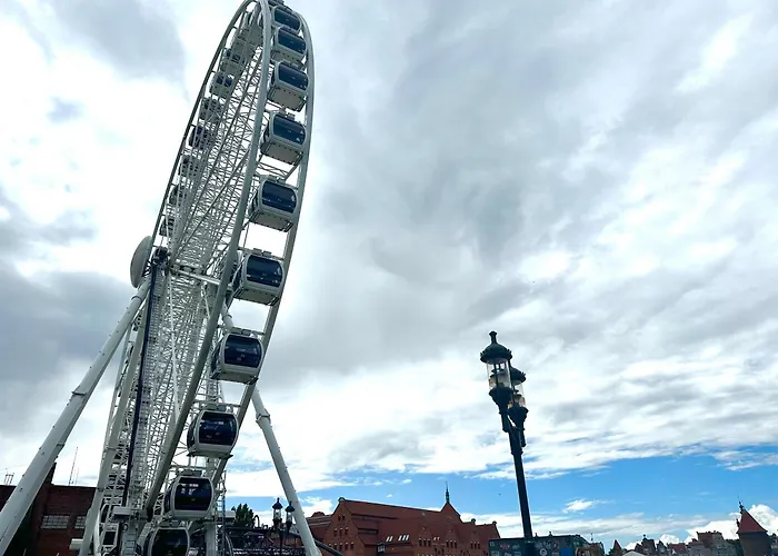 Mmrent Sunflower * Gdansk